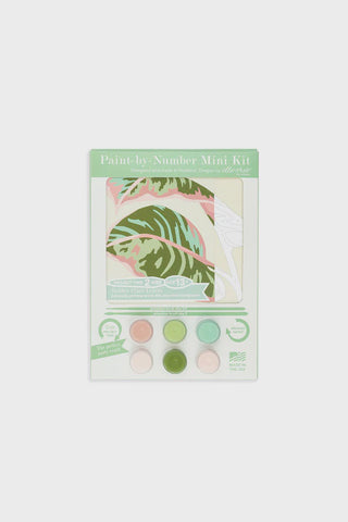 Rubber Plant Leaves Mini Paint By Number Kit