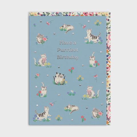 Cath Kidston Purrfect Kittens Birthday Card (11501)