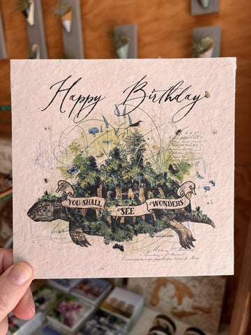 Happy Birthday You Shall See Wonders Turtle 6x6 Card In