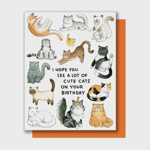I Hope You See A Lot Of Cute Cats Card