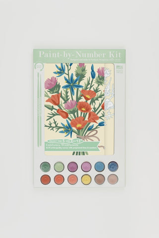 California Wildflowers Paint-By-Number Kit