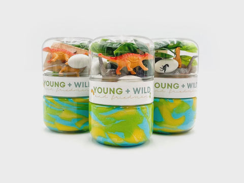Dinosaur Grab and Go Dough Jar